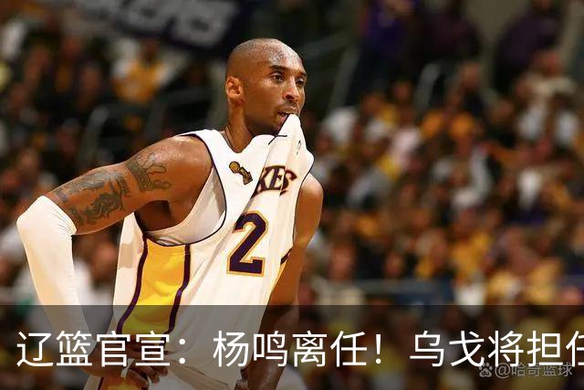 辽篮官宣：杨鸣离任！乌戈将担任辽宁男篮主帅